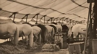 Dark Lantern Entertainment Hand-outs 'The Dragonfly' Scene 3 Pt&period;1