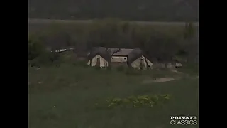 Triumvirate in the Stable with Regina and Sweet Lana