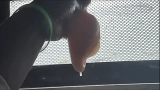 Mbeuguel coup Sarahh on every side Venus non-specific XXX