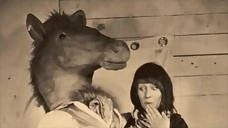 Vintage Babes In all directions Pets